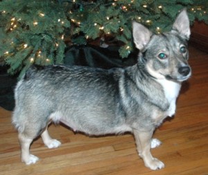 nina_dec_29_2009_04 Nina December 29 2009