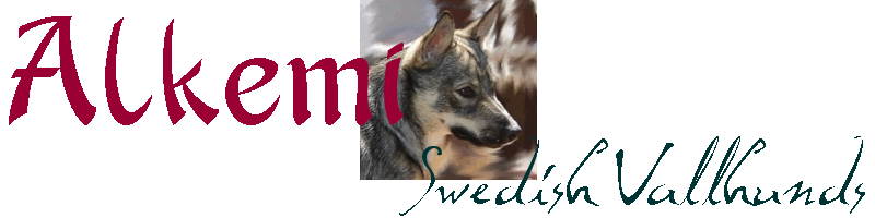 Alkemi header
