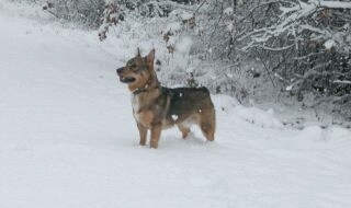 more snow